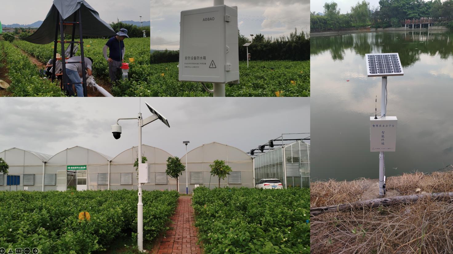 圖片2.jpg 圖片2.jpg