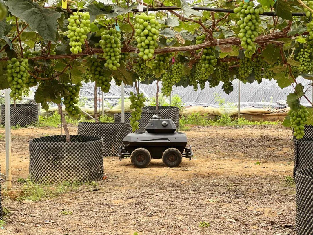 圖片4.jpg 圖片4.jpg