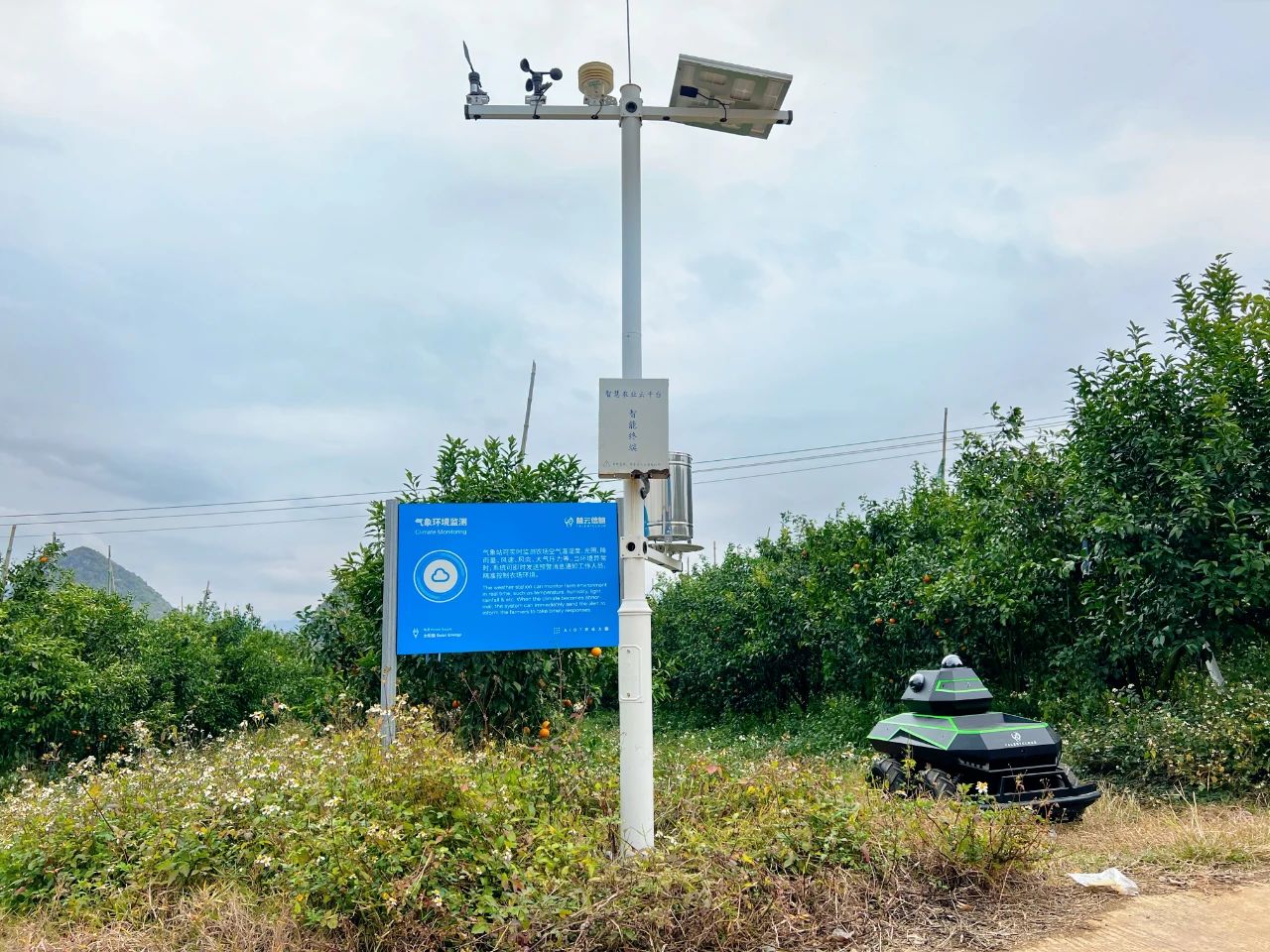 微信圖片_20240204181306.jpg 微信圖片_20240204181306.jpg