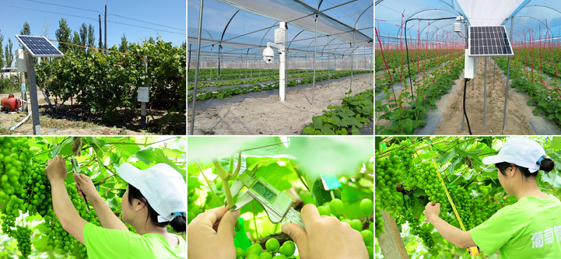 1 - 副本.png 1 - 副本.png