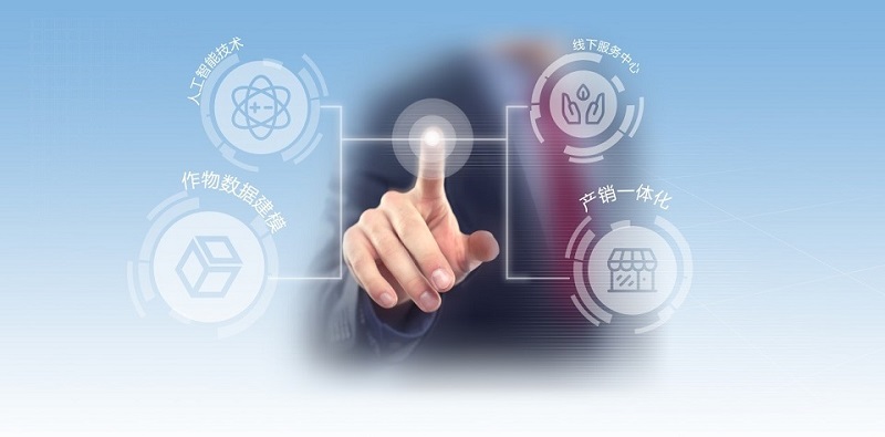 3 - 副本.jpg 3 - 副本.jpg